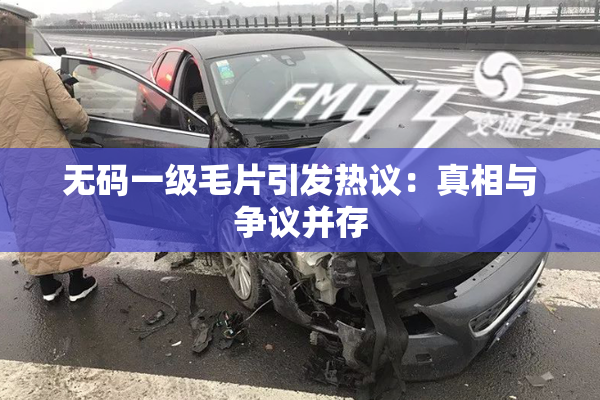 无码一级毛片引发热议：真相与争议并存