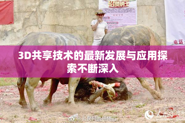 3D共享技术的最新发展与应用探索不断深入