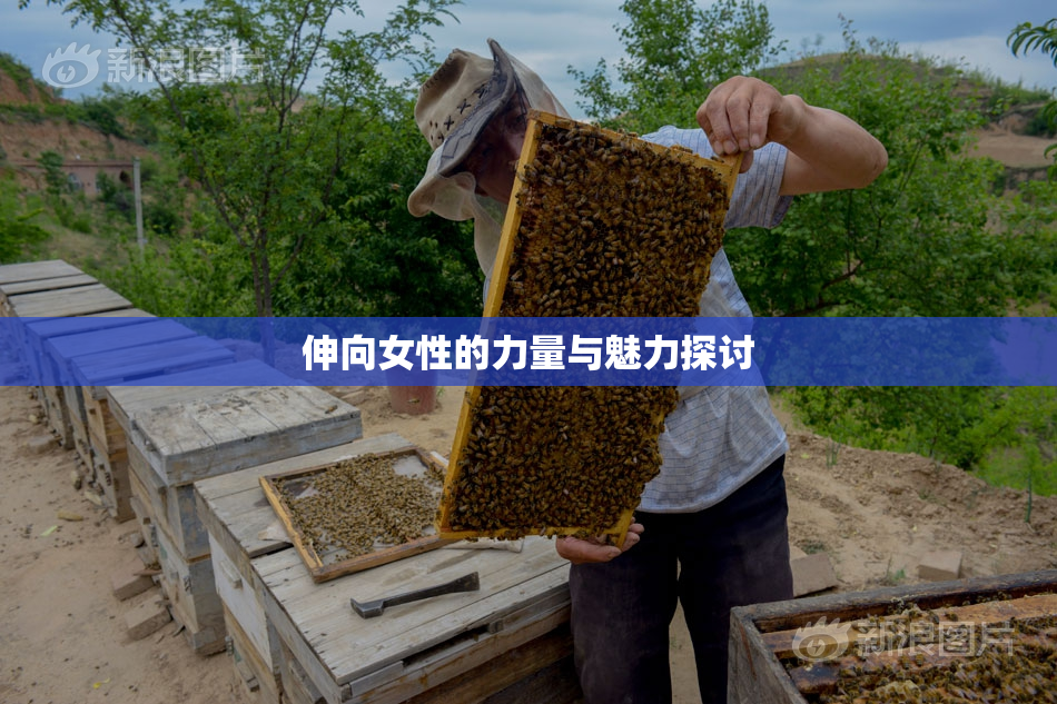 伸向女性的力量与魅力探讨