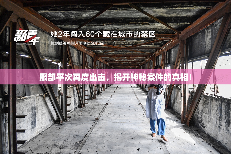 服部平次再度出击，揭开神秘案件的真相！