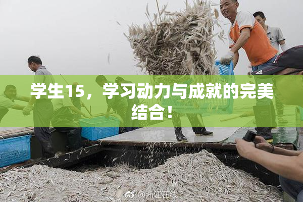 学生15，学习动力与成就的完美结合！