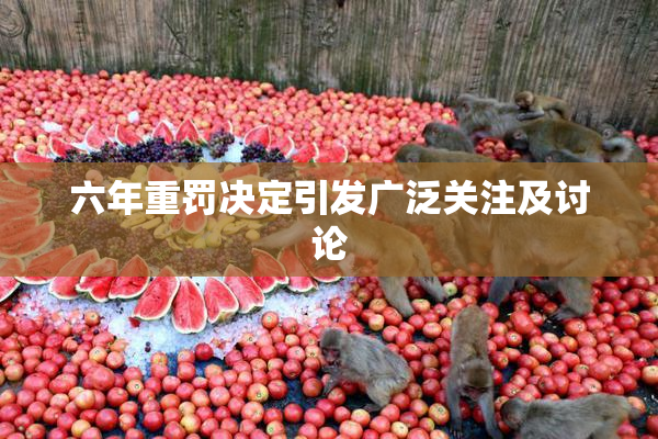 六年重罚决定引发广泛关注及讨论