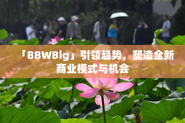 「BBWBig」引领趋势，塑造全新商业模式与机会