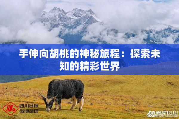 手伸向胡桃的神秘旅程：探索未知的精彩世界