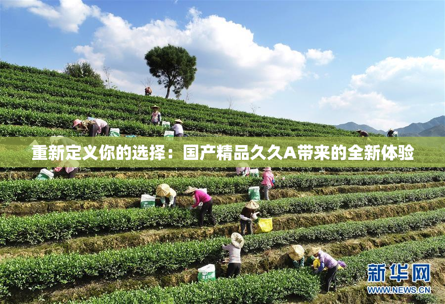 重新定义你的选择：国产精品久久A带来的全新体验