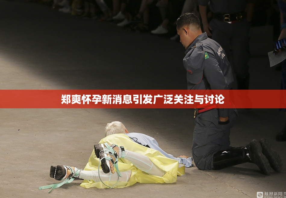 郑爽怀孕新消息引发广泛关注与讨论