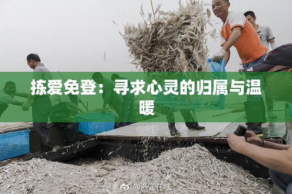 拣爱免登：寻求心灵的归属与温暖
