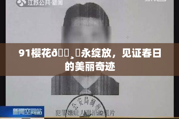 91樱花🌸‌永绽放，见证春日的美丽奇迹