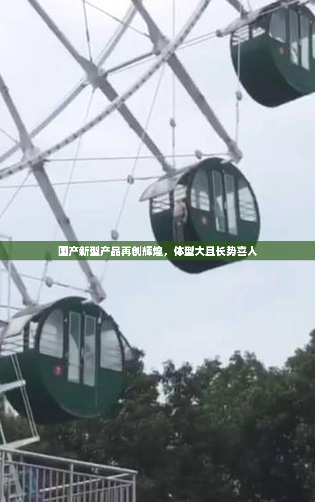 国产新型产品再创辉煌，体型大且长势喜人