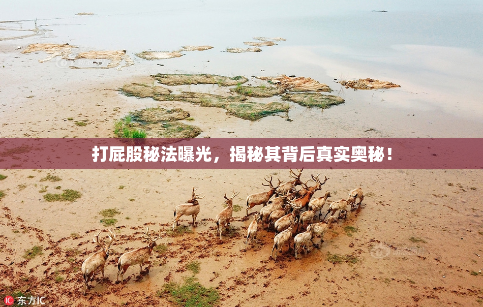 打屁股秘法曝光，揭秘其背后真实奥秘！