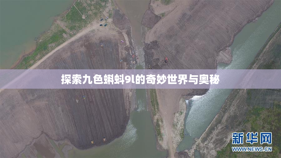 探索九色蝌蚪9l的奇妙世界与奥秘