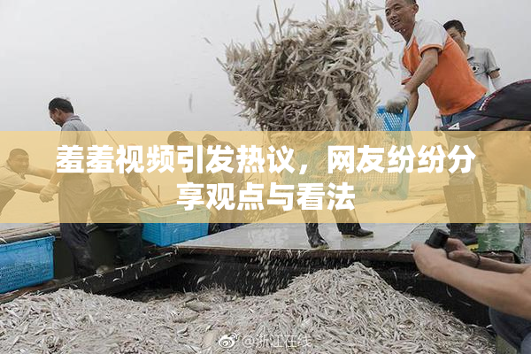 羞羞视频引发热议，网友纷纷分享观点与看法
