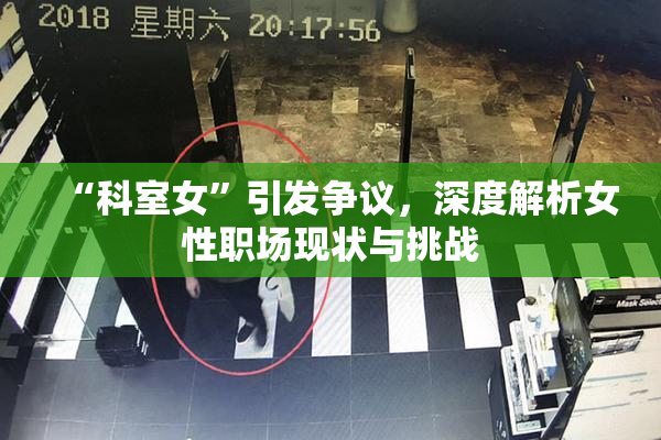 “科室女”引发争议，深度解析女性职场现状与挑战
