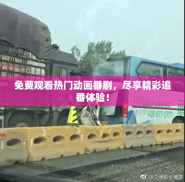 免费观看热门动画番剧，尽享精彩追番体验！
