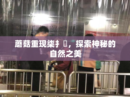 蘑菇重现柒扌畐，探索神秘的自然之美