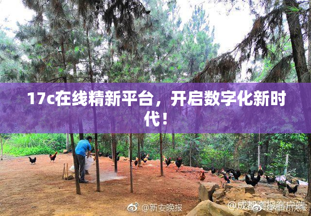 17c在线精新平台，开启数字化新时代！