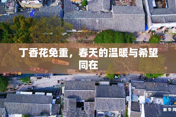 丁香花免重，春天的温暖与希望同在