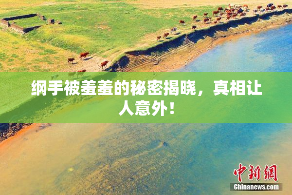 纲手被羞羞的秘密揭晓，真相让人意外！