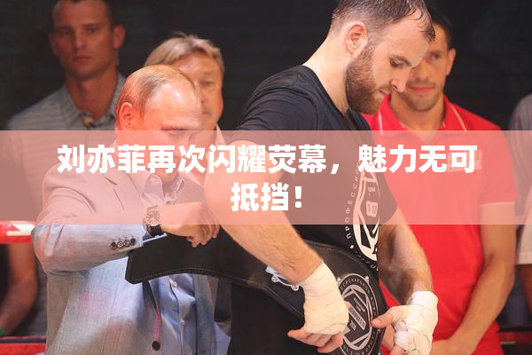 刘亦菲再次闪耀荧幕，魅力无可抵挡！