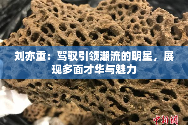 刘亦重：驾驭引领潮流的明星，展现多面才华与魅力