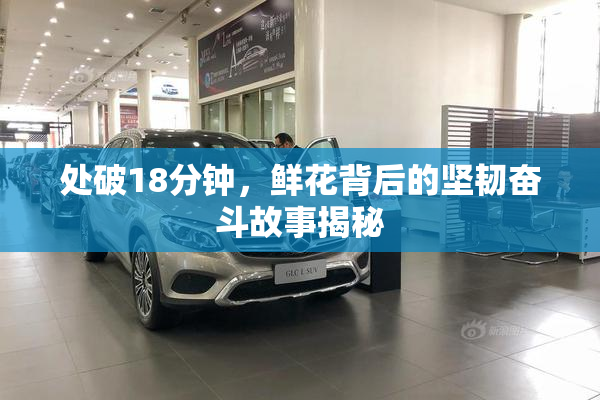 处破18分钟，鲜花背后的坚韧奋斗故事揭秘