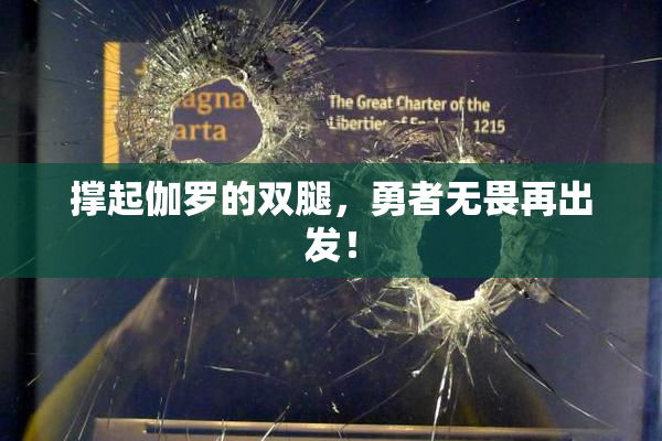 撑起伽罗的双腿，勇者无畏再出发！