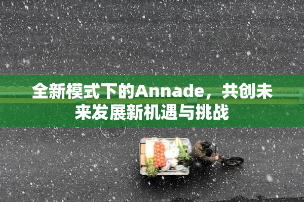全新模式下的Annade，共创未来发展新机遇与挑战