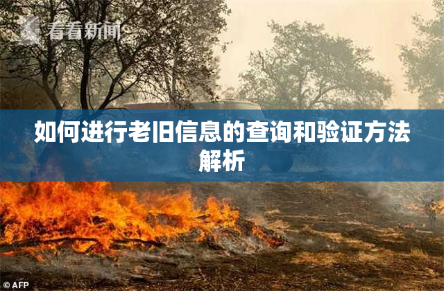 如何进行老旧信息的查询和验证方法解析