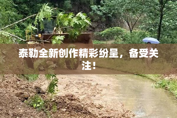 泰勒全新创作精彩纷呈，备受关注！