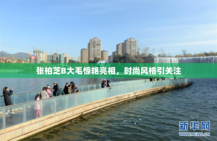 张柏芝B大毛惊艳亮相，时尚风格引关注