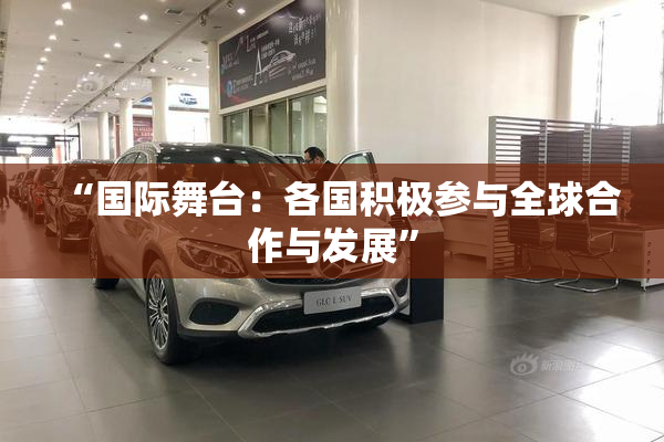 “国际舞台：各国积极参与全球合作与发展”