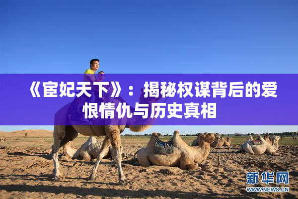 《宦妃天下》：揭秘权谋背后的爱恨情仇与历史真相