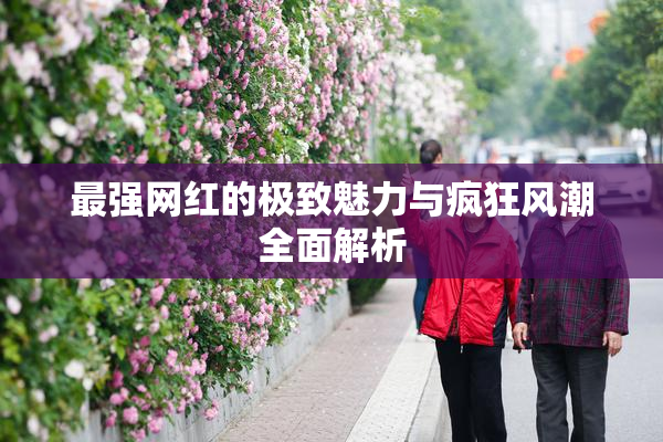 最强网红的极致魅力与疯狂风潮全面解析
