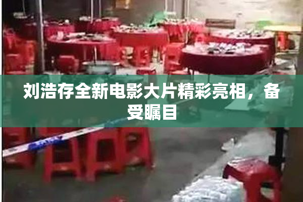 刘浩存全新电影大片精彩亮相，备受瞩目