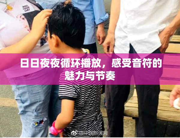 日日夜夜循环播放，感受音符的魅力与节奏