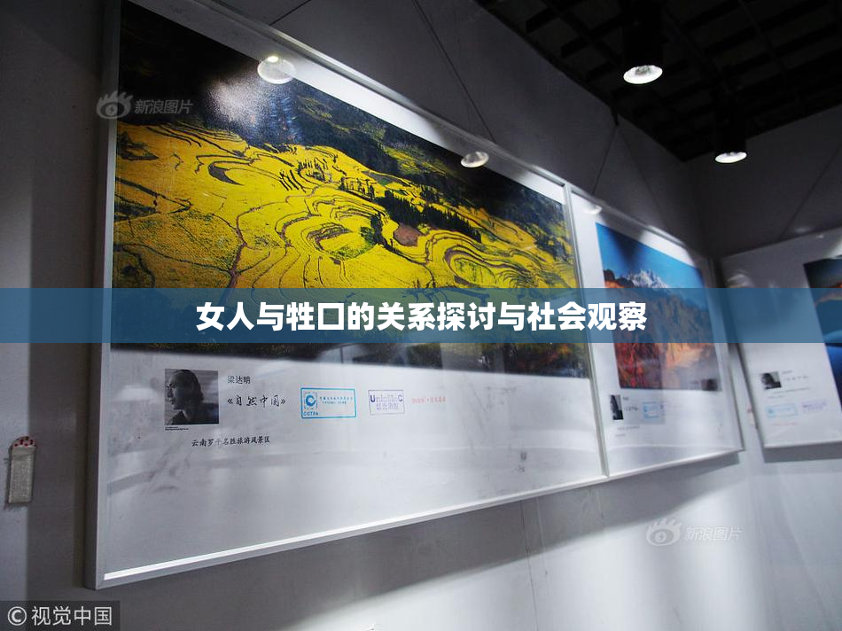 女人与牲囗的关系探讨与社会观察