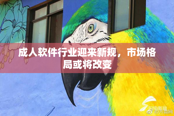 成人软件行业迎来新规，市场格局或将改变