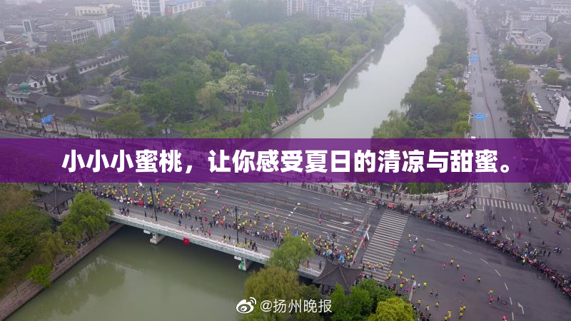 小小小蜜桃，让你感受夏日的清凉与甜蜜。