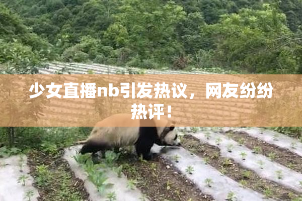 少女直播nb引发热议，网友纷纷热评！