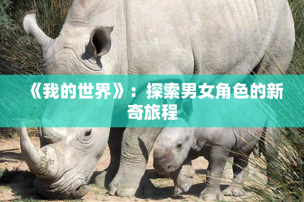 《我的世界》：探索男女角色的新奇旅程