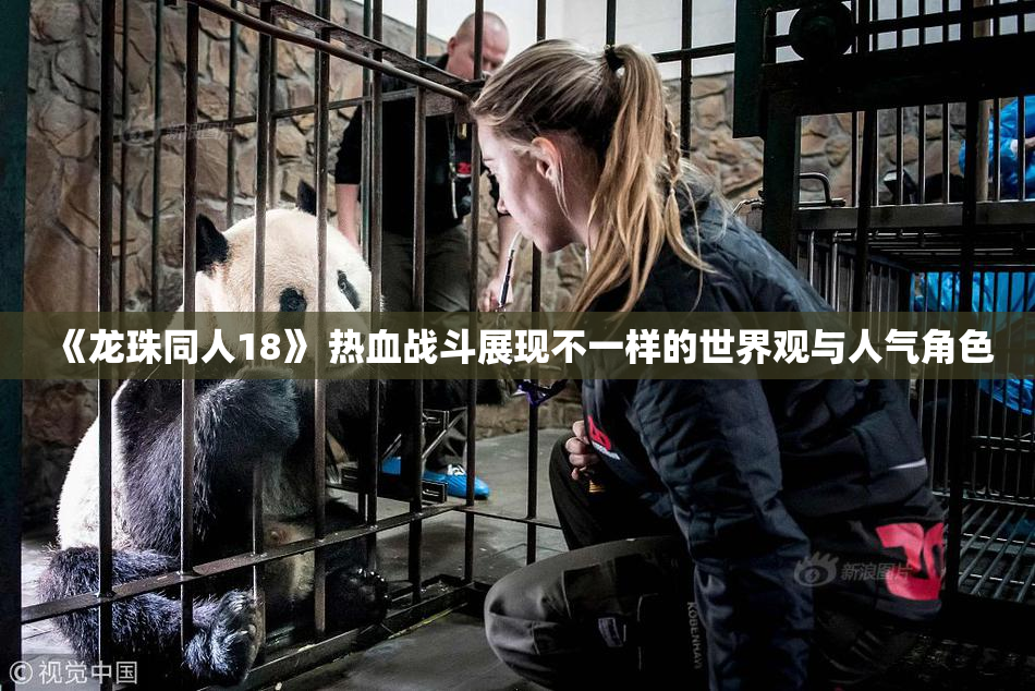 《龙珠同人18》 热血战斗展现不一样的世界观与人气角色