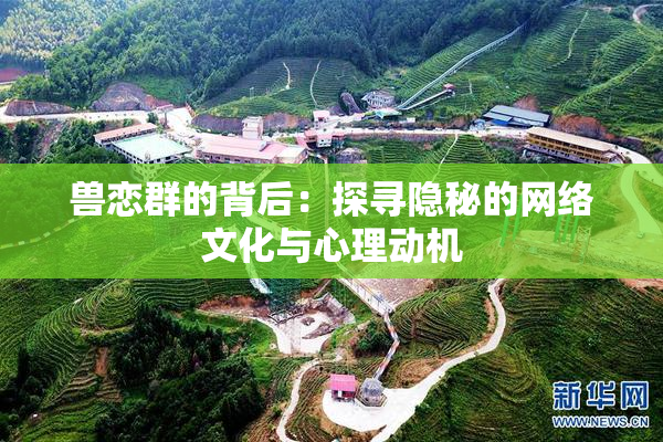 兽恋群的背后：探寻隐秘的网络文化与心理动机