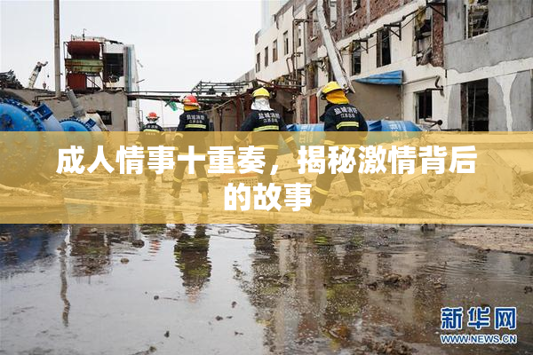 成人情事十重奏，揭秘激情背后的故事