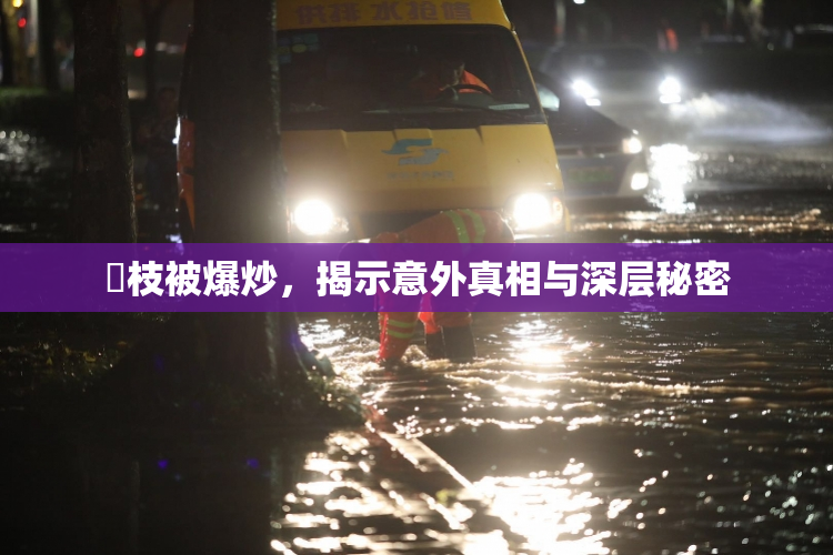 狛枝被爆炒，揭示意外真相与深层秘密
