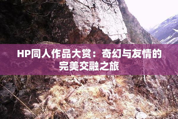 HP同人作品大赏：奇幻与友情的完美交融之旅