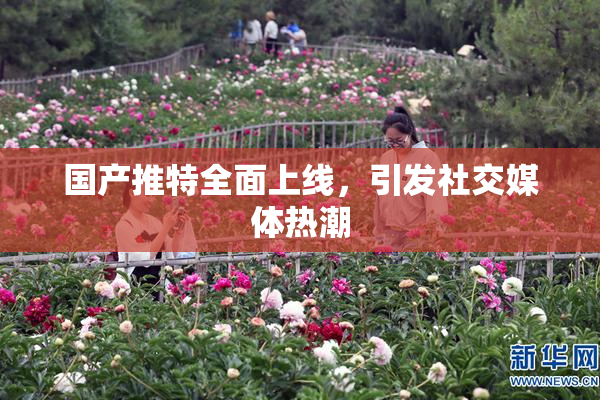 国产推特全面上线，引发社交媒体热潮