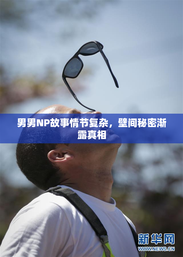 男男NP故事情节复杂，壁间秘密渐露真相