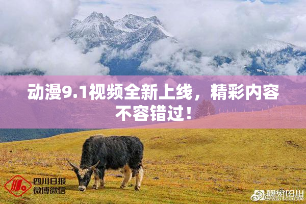 动漫9.1视频全新上线，精彩内容不容错过！