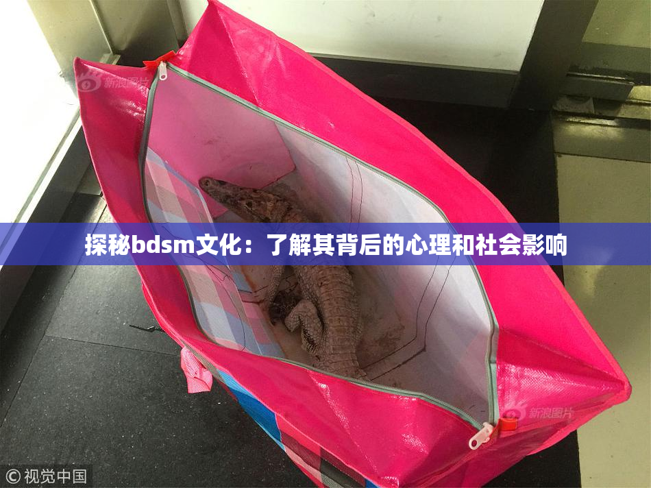 探秘bdsm文化：了解其背后的心理和社会影响