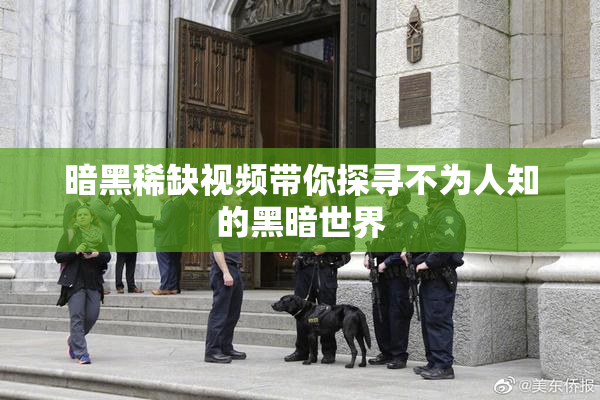 暗黑稀缺视频带你探寻不为人知的黑暗世界